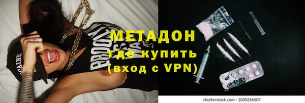 индика Алексин