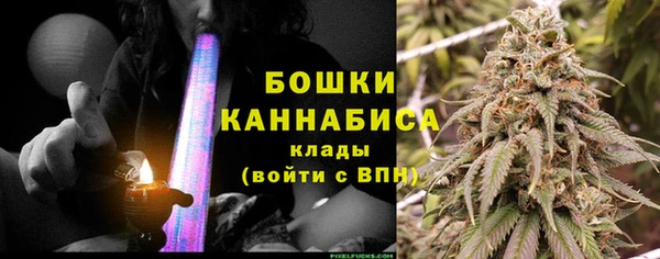 PSILOCYBIN Няндома