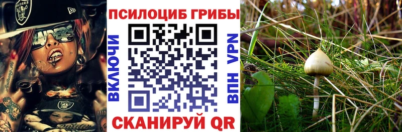 Псилоцибиновые грибы прущие грибы  мега как войти  Анжеро-Судженск  наркота 